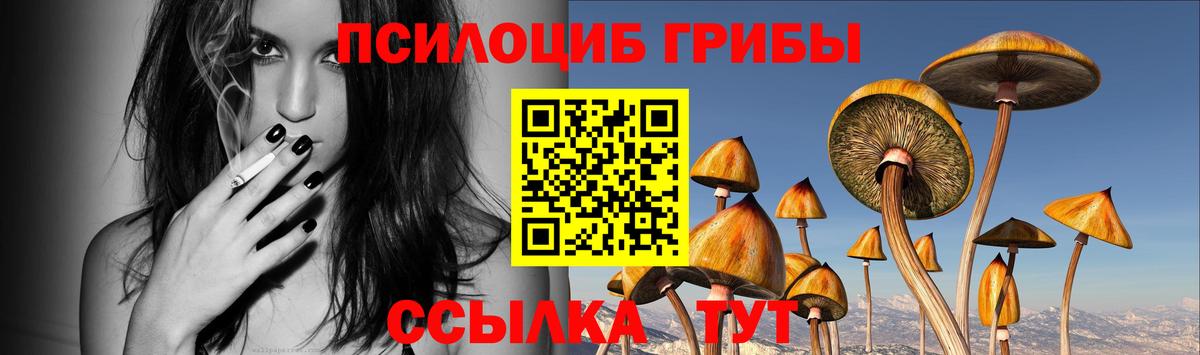 Псилоцибиновые грибы Cubensis  Вход с VPN  Югорск 